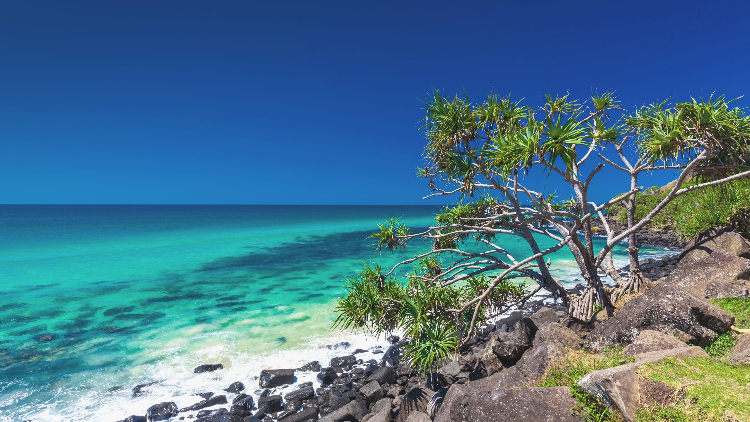 Swell Stockwebsite images copy
