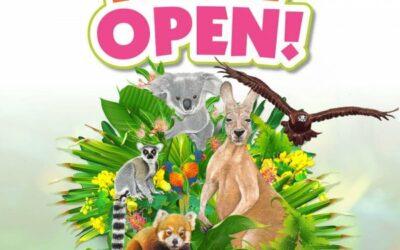 CURRUMBIN WILDLIFE SANCTUARY IS OPEN! | SWELL BURLEIGH HEADS