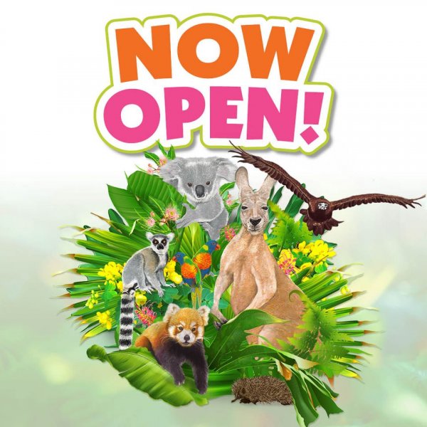 CURRUMBIN WILDLIFE SANCTUARY IS OPEN! | SWELL BURLEIGH HEADS