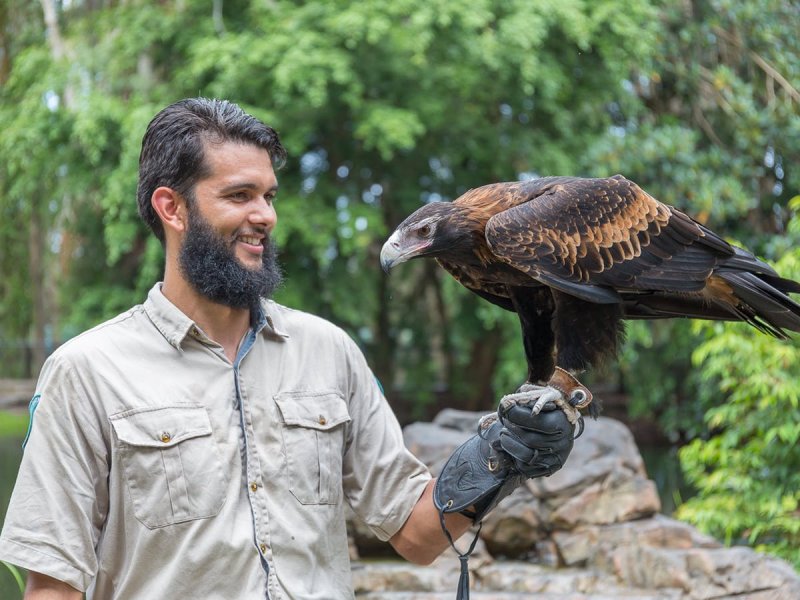 david-fleay-wildlife-park