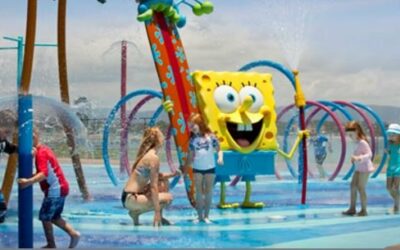 SEA WORLD ATTRACTIONS & EXPERIENCES YOUR KIDS WILL ENJOY