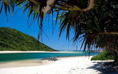 SUMMER IN BURLEIGH HEADS – BEST 10 THINGS TO DO ON YOUR HOLIDAY