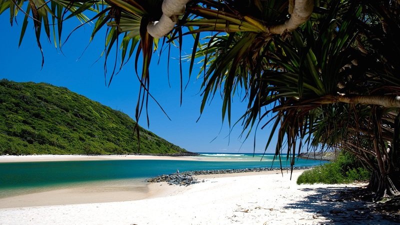 tallebudgera-creek