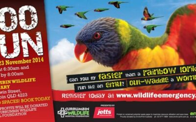 ZOO RUN