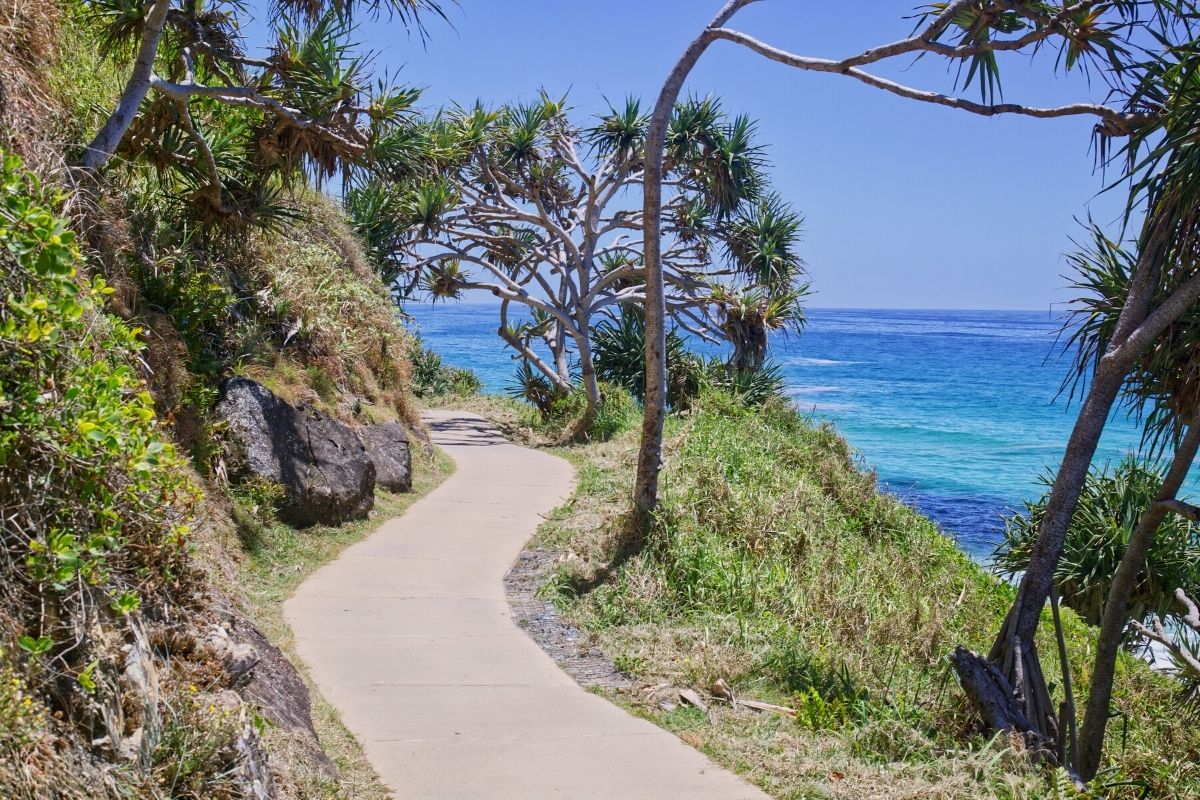 Explore Burleigh Headland National Park Swell Resort Burleigh Heads