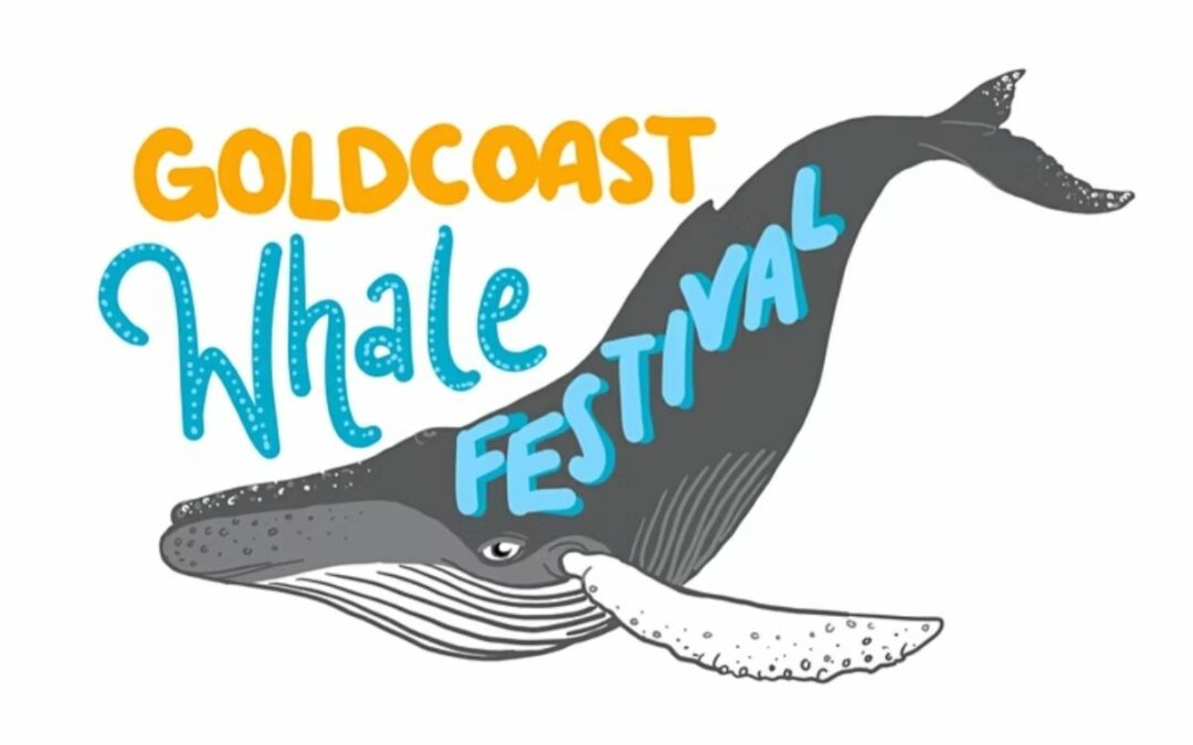 Gold Coast Whale Fest