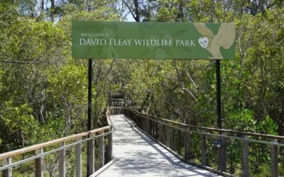 Gold Coast Activities You Can’t Miss This April
